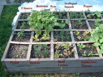 Small Vegetable Garden Layout Ideas: Square-Foot Gardening Guide Image